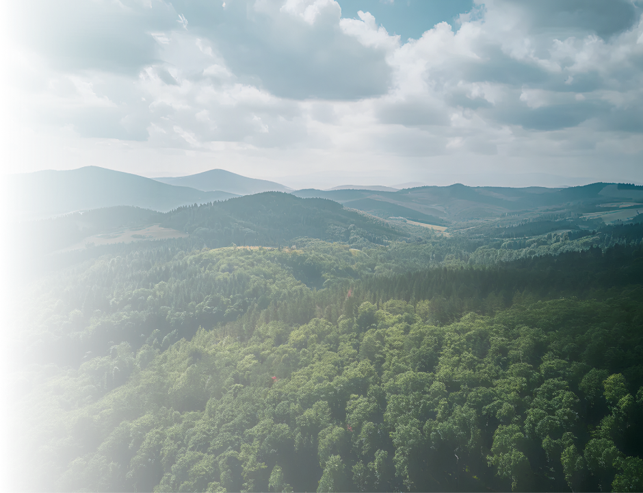 Главный экран Решения для БПЛА